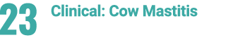 23 Clinical: Cow Mastitis