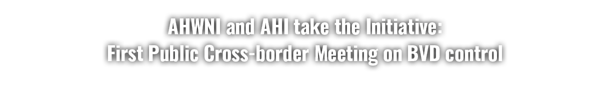 AHWNI and AHI take the Initiative: First Public Cross border Meeting on BVD control