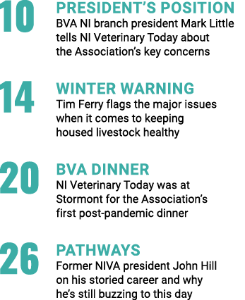 10 PRESIDENT S POSITION BVA NI branch president Mark Little tells NI Veterinary Today about the Association s key con   