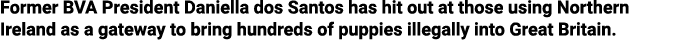 Former BVA President Daniella dos Santos has hit out at those using Northern Ireland as a gateway to bring hundreds o   