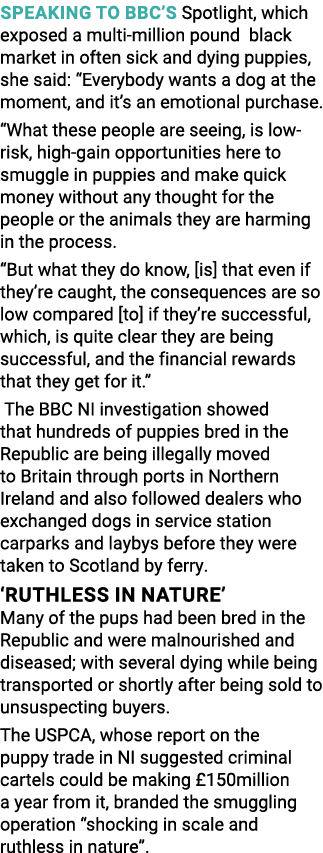 Speaking to BBC s Spotlight, which exposed a multi-million pound black market in often sick and dying puppies, she sa   