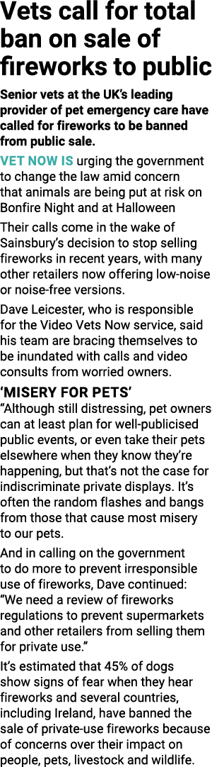 Vets call for total ban on sale of fireworks to public Senior vets at the UK s leading provider of pet emergency care   