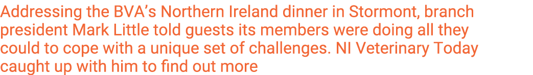 Addressing the BVA s Northern Ireland dinner in Stormont, branch president Mark Little told guests its members were d   