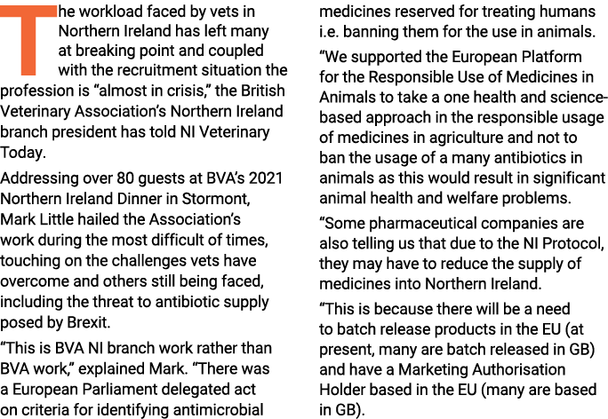 The workload faced by vets in Northern Ireland has left many at breaking point and coupled with the recruitment situa   
