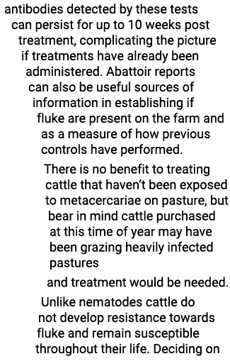 antibodies detected by these tests can persist for up to 10 weeks post treatment, complicating the picture if treatme   