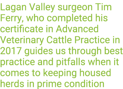Lagan Valley surgeon Tim Ferry, who completed his certificate in Advanced Veterinary Cattle Practice in 2017 guides u   