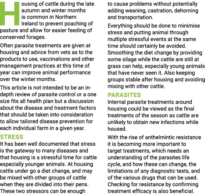 Housing of cattle during the late autumn and winter months is common in Northern Ireland to prevent poaching of pastu   