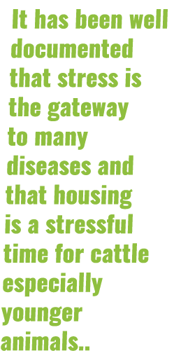 It has been well documented that stress is the gateway to many diseases and that housing is a stressful time for catt   