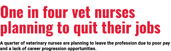 One in four vet nurses planning to quit their jobs A quarter of veterinary nurses are planning to leave the professio   