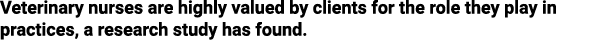 Veterinary nurses are highly valued by clients for the role they play in practices, a research study has found 