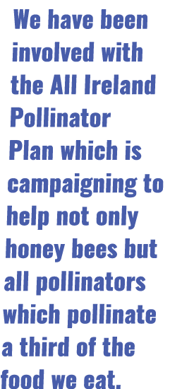 We have been involved with the All Ireland Pollinator Plan which is campaigning to help not only honey bees but all p   