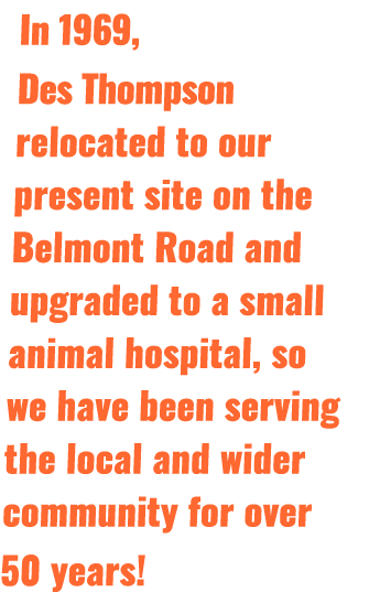 In 1969, Des Thompson relocated to our present site on the Belmont Road and upgraded to a small animal hospital, so w   
