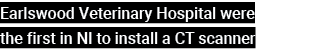 Earlswood Veterinary Hospital were the first in NI to install a CT scanner