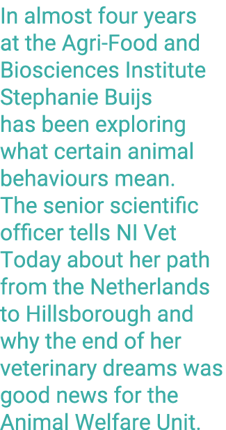 In almost four years at the Agri-Food and Biosciences Institute Stephanie Buijs has been exploring what certain anima   