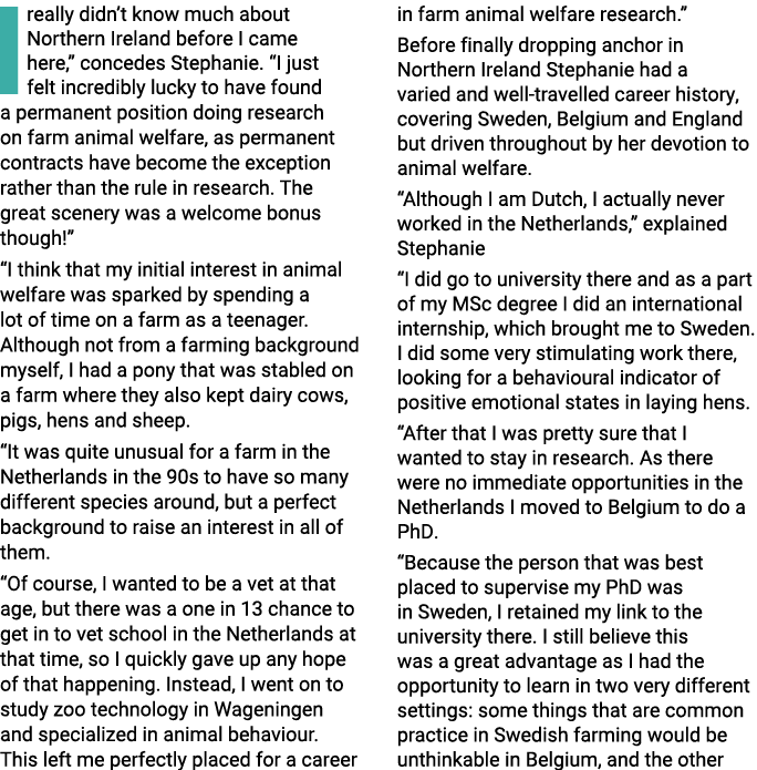 I really didn t know much about Northern Ireland before I came here,  concedes Stephanie   I just felt incredibly luc   