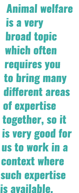 Animal welfare is a very broad topic which often requires you to bring many different areas of expertise together, so   