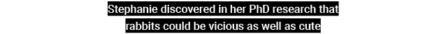 Stephanie discovered in her PhD research that rabbits could be vicious as well as cute