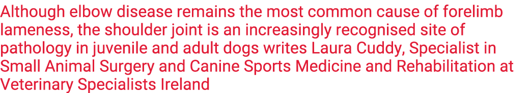 Although elbow disease remains the most common cause of forelimb lameness, the shoulder joint is an increasingly reco   