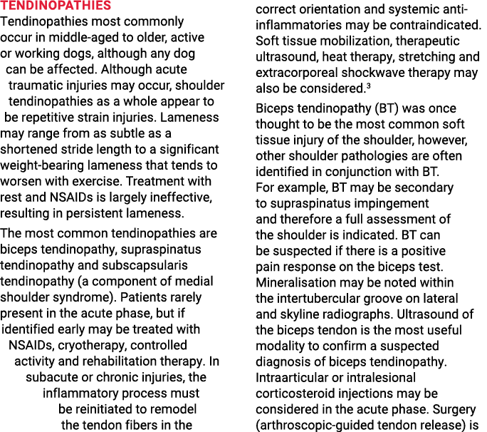 Tendinopathies Tendinopathies most commonly occur in middle-aged to older, active or working dogs, although any dog c   