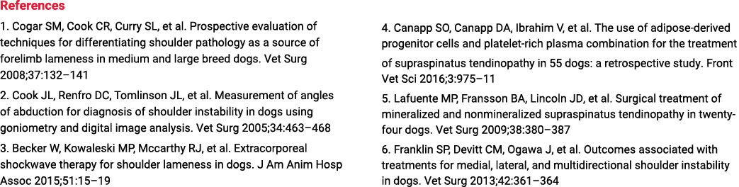 References 1  Cogar SM, Cook CR, Curry SL, et al  Prospective evaluation of techniques for differentiating shoulder p   