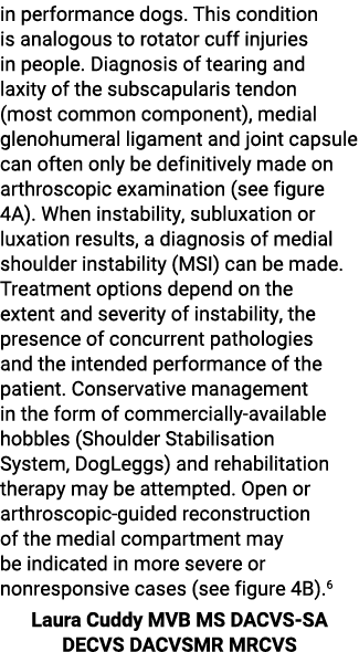 in performance dogs  This condition is analogous to rotator cuff injuries in people  Diagnosis of tearing and laxity    
