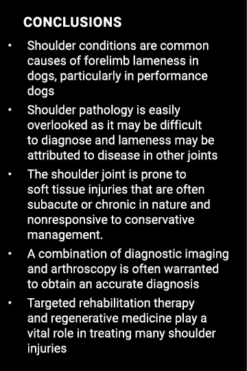   Conclusions   Shoulder conditions are common causes of forelimb lameness in dogs, particularly in performance dogs    