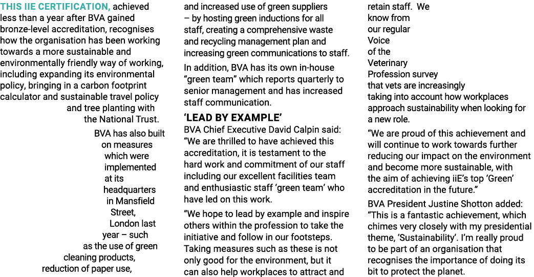 This iiE certification, achieved less than a year after BVA gained bronze-level accreditation, recognises how the org   