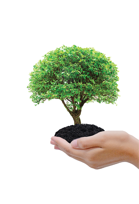 Ecologically friendly and sustainable environment concept with tree planting growing and green land world on volunteers hands and isolate white background  Earth by NASA 