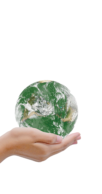 Ecologically friendly and sustainable environment concept with tree planting growing and green land world on volunteers hands and isolate white background  Earth by NASA 
