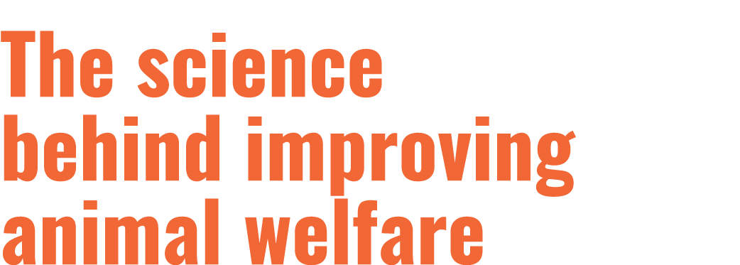The science behind improving animal welfare 