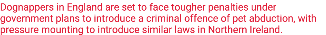 Dognappers in England are set to face tougher penalties under government plans to introduce a criminal offence of pet   