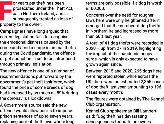For years pet theft has been prosecuted under the Theft Act, as in Northern Ireland, and is subsequently treated as l   