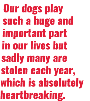 Our dogs play such a huge and important part in our lives but sadly many are stolen each year, which is absolutely he   