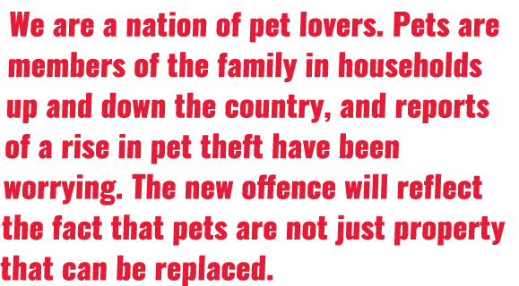 We are a nation of pet lovers  Pets are members of the family in households up and down the country, and reports of a   