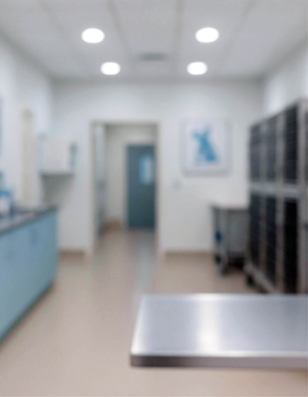 Modern veterinary clinic interior with exam table and equipment, clean bright animal hospital, pet healthcare concept, blurred background for copy space, professional vet office design