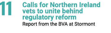 11 Calls for Northern Ireland vets to ﻿unite behind regulatory reform Report from the BVA at Stormont