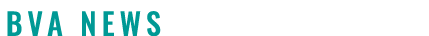  BVA NEWS