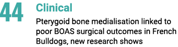 44 Clinical Pterygoid bone medialisation linked to poor BOAS surgical outcomes in French Bulldogs, new research shows