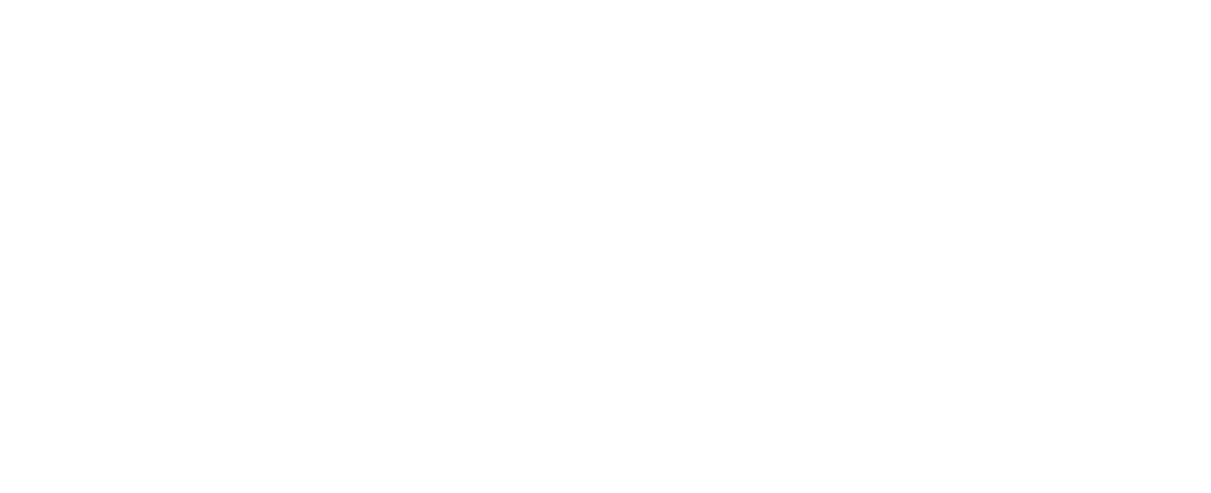 Calls for Northern Ireland vets to unite behind regulatory reform As Competition watchdog backs regulation of practices 