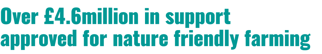 Over £4.6million in support approved for nature friendly farming 