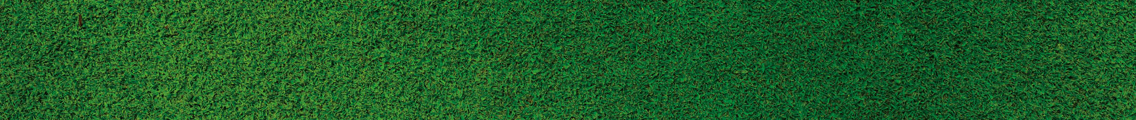 Green grass pattern texture for background, top view background of garden grass concept used for making green backdrop, golf course lawn green texture background                             