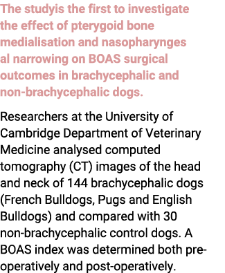 The studyis the first to investigate the effect of pterygoid bone medialisation and nasopharynges al narrowing on BOA...