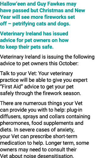 Hallow’een and Guy Fawkes may have passed but Christmas and New Year will see more fireworks set off – petrifying cat...