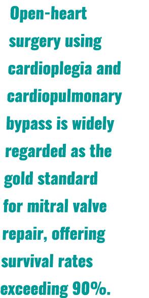 Open heart surgery using cardioplegia and cardiopulmonary bypass is widely regarded as the gold standard for mitral v...