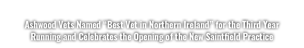 Ashwood Vets Named “Best Vet in Northern Ireland” for the Third Year Running and Celebrates the Opening of the New Sa...