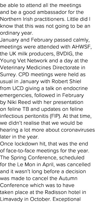 be able to attend all the meetings and be a good ambassador for the Northern Irish practitioners  Little did I know t   