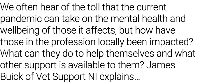We often hear of the toll that the current pandemic can take on the mental health and wellbeing of those it affects,    