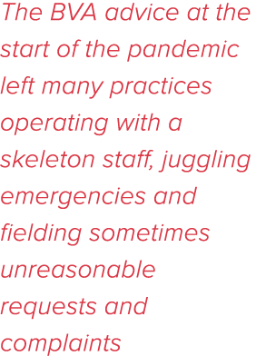 The BVA advice at the start of the pandemic left many practices operating with a skeleton staff, juggling emergencies   