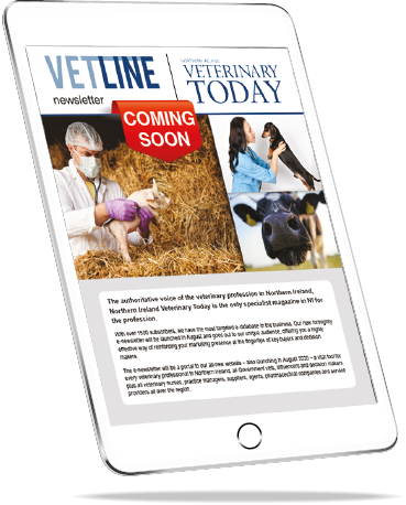 mockup tablet isolated on white