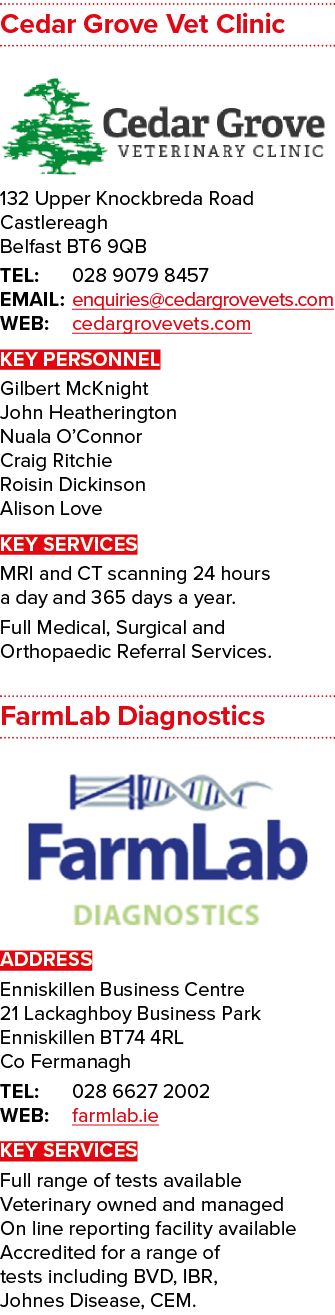 Cedar Grove Vet Clinic  132 Upper Knockbreda Road Castlereagh Belfast BT6 9QB TEL: 028 9079 8457 EMAIL: enquiries ced   